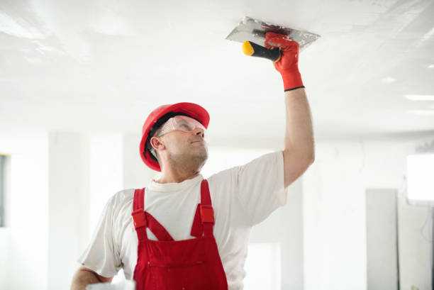 Best Drywall Texturing  in Wellston, OH